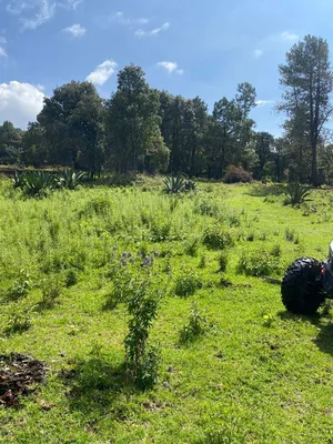 Terreno en venta