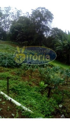 Imagem 11 de 21 de Chácara Para Venda No Bairro Dos Finco/ Vila Tupã, 3 Dorm, 6 Vagas, 100 M, 3982 M - 9851