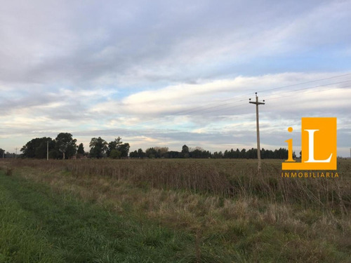 Hectareas Sobre Ruta 215 En Loma Verde