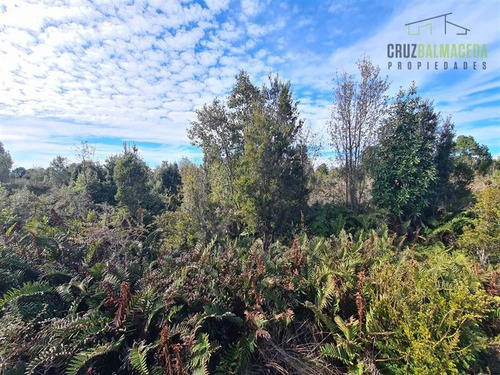 Imagen 8 de 10 de Agrícola En Venta En Puerto Montt