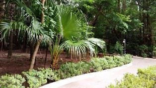 Imagem 3 de 23 de Apartamento Para Venda, 3 Dormitórios, Moinho Velho - São Paulo - 539