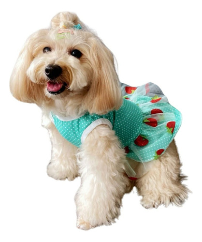 Vestido Para Mascotas - Estampado Fresitas Verde - Mediano