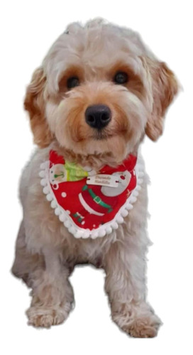 Bandanas Navideñas Para Perros Y Gatos Talle S