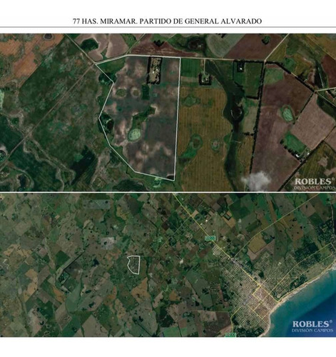 Imagen 3 de 14 de Campo 78 Hectareas Miramar 75% Cultibable Y Ganadero