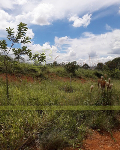 Imagem 11 de 21 de Terreno - Te00064 - 69210627
