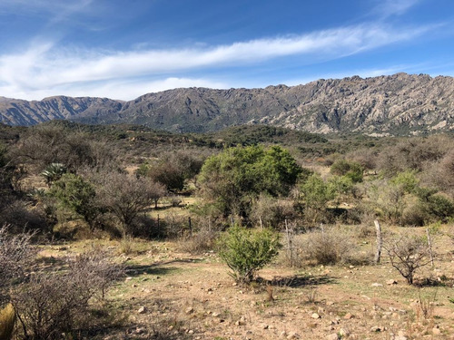 Imagen 3 de 15 de Lote Venta Cortaderas Merlo San Luis