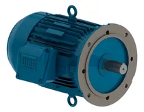 Comprar Motor Elétrico Trifásico Weg 3cv 220\u002F380v 4p B5d
