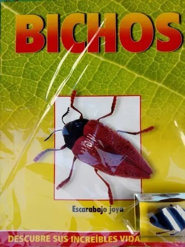 Coleccion Bichos Escarabajo Joya, Rba Nuevo