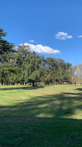 Imagen 1 de 14 de Terreno En Venta En Alejandro Petión
