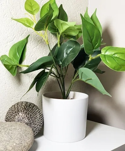 Imagen 9 de 10 de Plantas Artificiales De Escritorio Combo Pack X2