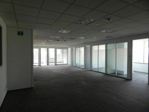 Excelente Oficina Acondicionada En Renta De 335 M2 En Insurgentes Sur N9