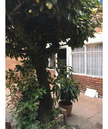 Vendo Espectacular Casa En La Soledad