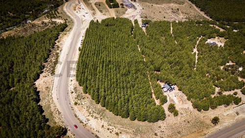 Venta Lote Villa Pehuenia