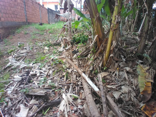 Imagem 2 de 6 de Terreno Em Mussurunga
