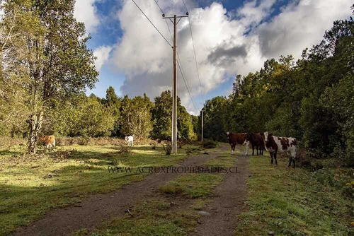 Imagen 8 de 24 de Loteo Con Orilla De Rio En Puerto Varas