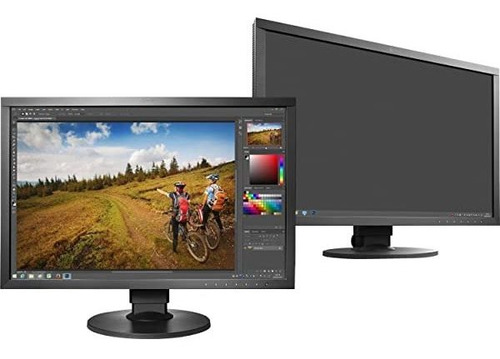 Monitor Eizo Cs2420-bk-cnx Coloredge Professional Color Grap