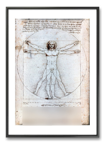Cuadro - El Hombre De Vitrubio - Leonardo Da Vinci 