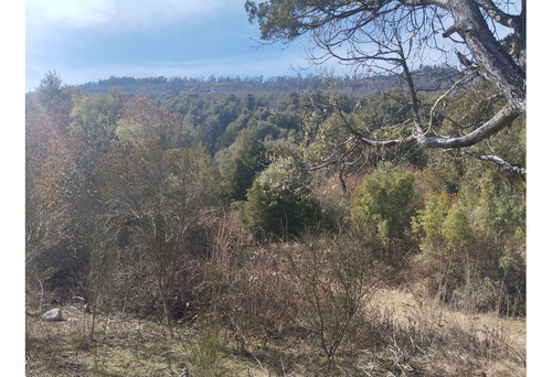 (051) El Bolson, Terreno De 1/2 Ha Frente A Camino Con Costa De Rio Azul