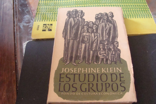 Estudio De Los Grupos , Josephine Klein , Fondo De