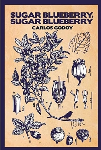 Sugar Blueberry - Carlos Godoy
