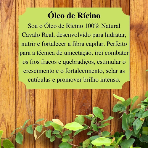 Imagem 7 de 8 de Óleo De Rícino 100% Vegetal Vita Seiva Umectante 30ml