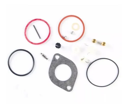 Kit Carburador Briggs & Stratton 697241 499220 493384 697154
