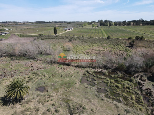 Chacra En Venta 7 Has. Montevideo Rural, A 1 Km De Camino Mendoza