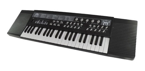 Piano Organeta Eléctrica Usb Mp3 44 Teclas Musica + Microfon