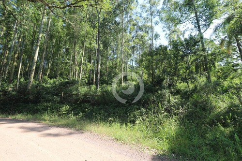 Imagem 7 de 15 de Área De Terra À Venda Em Picada Schneider 30000 M²- Presidente Lucena/rs - Ar0014