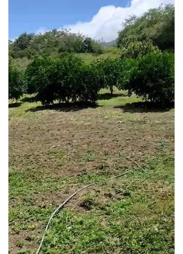 Venta Finca De 4000mts2, En Dagua, Valle Del Cauca 12099.