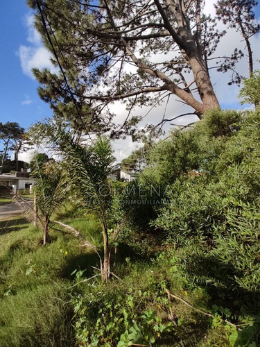 Imagen 2 de 7 de Terreno En Zona Mansa Muy Buen Matraje - Punta Del Este Mansa