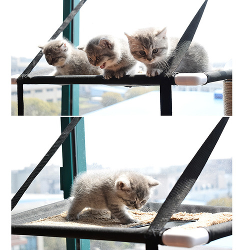 Imagen 3 de 6 de Gato Window Perca Hamaca Cama Doble Pisos Ventana Succión