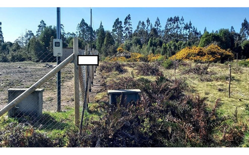 Alerce Parcela 5000 M2 Conlinda Con Estero Rio Negro