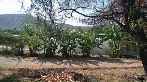 Imagen 28 de 30 de Jose Lopez Rent A House Te Ofrece En Venta Finca Productiva En Municipio Jimenez Quibor Lara, Venezuela 3001, Telf. 0414-5533925 #23-953 $450000