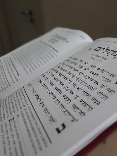 Libro Editorial Bnei Sholem Salmos Tehilim Hebreo-español