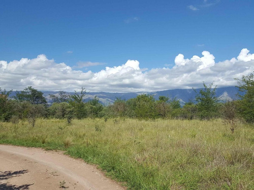 Imagen 8 de 12 de Lote De Una Hectárea Y Media En Nono