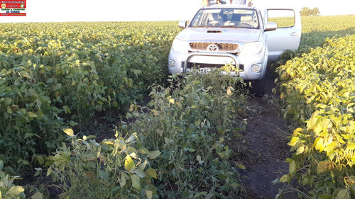 Campos Chacra Estancia Necesitamos Ya!! Para Arrendar Alquilar Venta Ganadero Agricola Tambo Forestal Pedidos Concretos Todo El Pais Se Ofrece Garantía Renta Pagada Adelantada Rápida Revisión Reserva