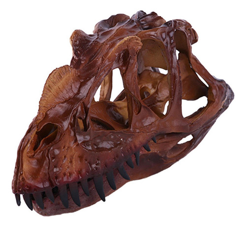 Escala 1/10 Modelo Cráneo Fósil De Dinosaurio Ceratosaurus