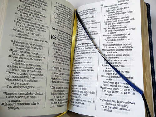 Imagen 6 de 8 de Biblia Rvr1960 Letra Grande Imitación Piel Duotono Azul/café