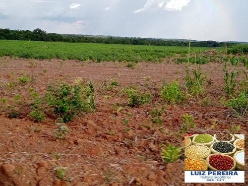 Imagem 10 de 15 de Fazenda À Venda Em Peixe - To - De 213 Alqueirões (agricultura) - 1700