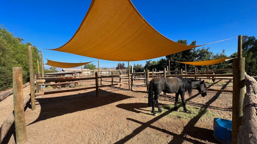 Parcela Con Caballerizas Y Corrales