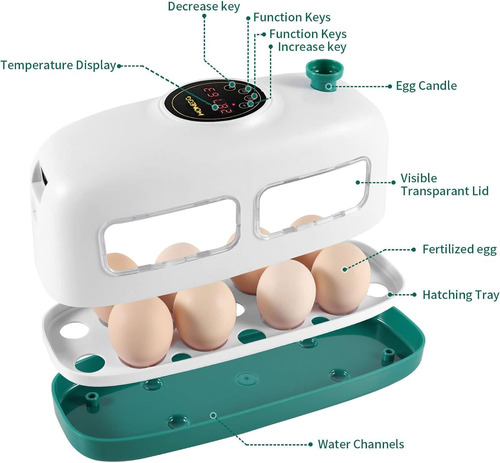 Incubadora C/control De Temperatura; 8 Huevos, Azxiviz