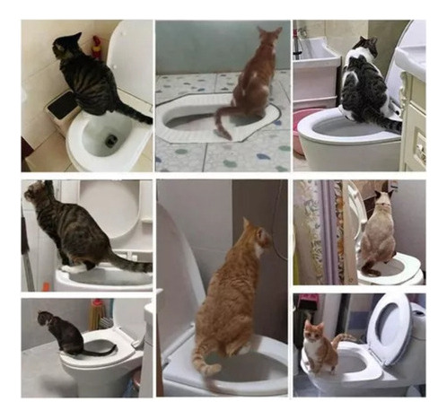 Pet Cleaning Cat Toilet Set De Entrenamiento De Arena