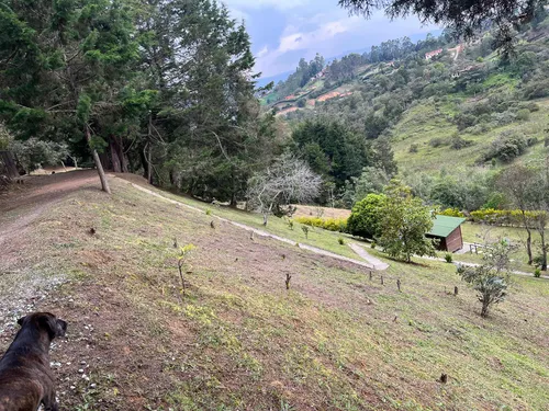 Arriendo Cabaña Por Meses En Rionegro