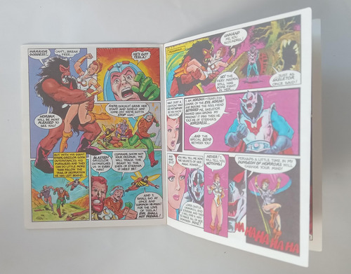 Grizzlor 1983 Masters Of The Universe Mattel (Usado)