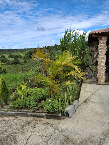 Lindo Sitio