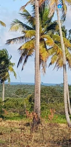 Chácara À Venda, 100000 M² Por R$ 890.000,00 - Centro - Pitimbú/pb - Ch0063