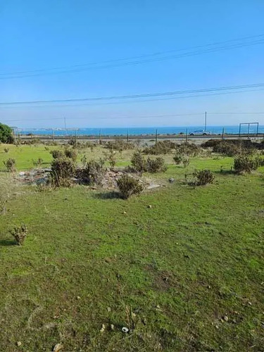 Parcela En Quilimari Pichidangui (172955)