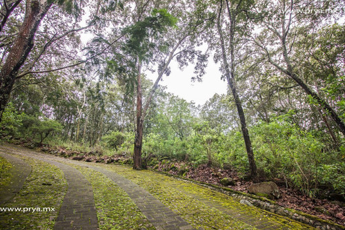 Terreno En Venta Reserva De Los Encinos, Teuchitlán
