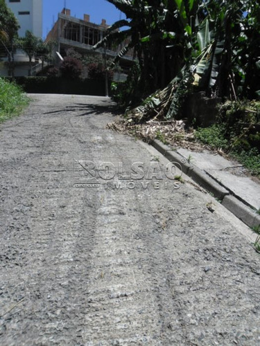 Imagem 3 de 4 de Terreno - Tucuruvi - Ref: 17729 - V-17729